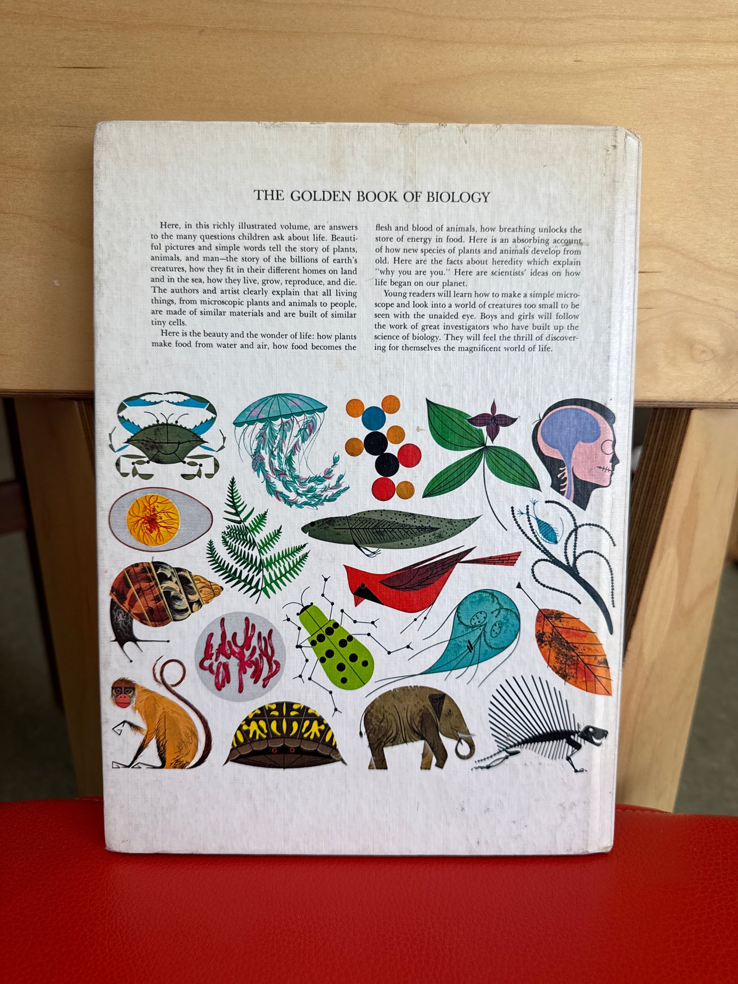 The Golden Book of Biology