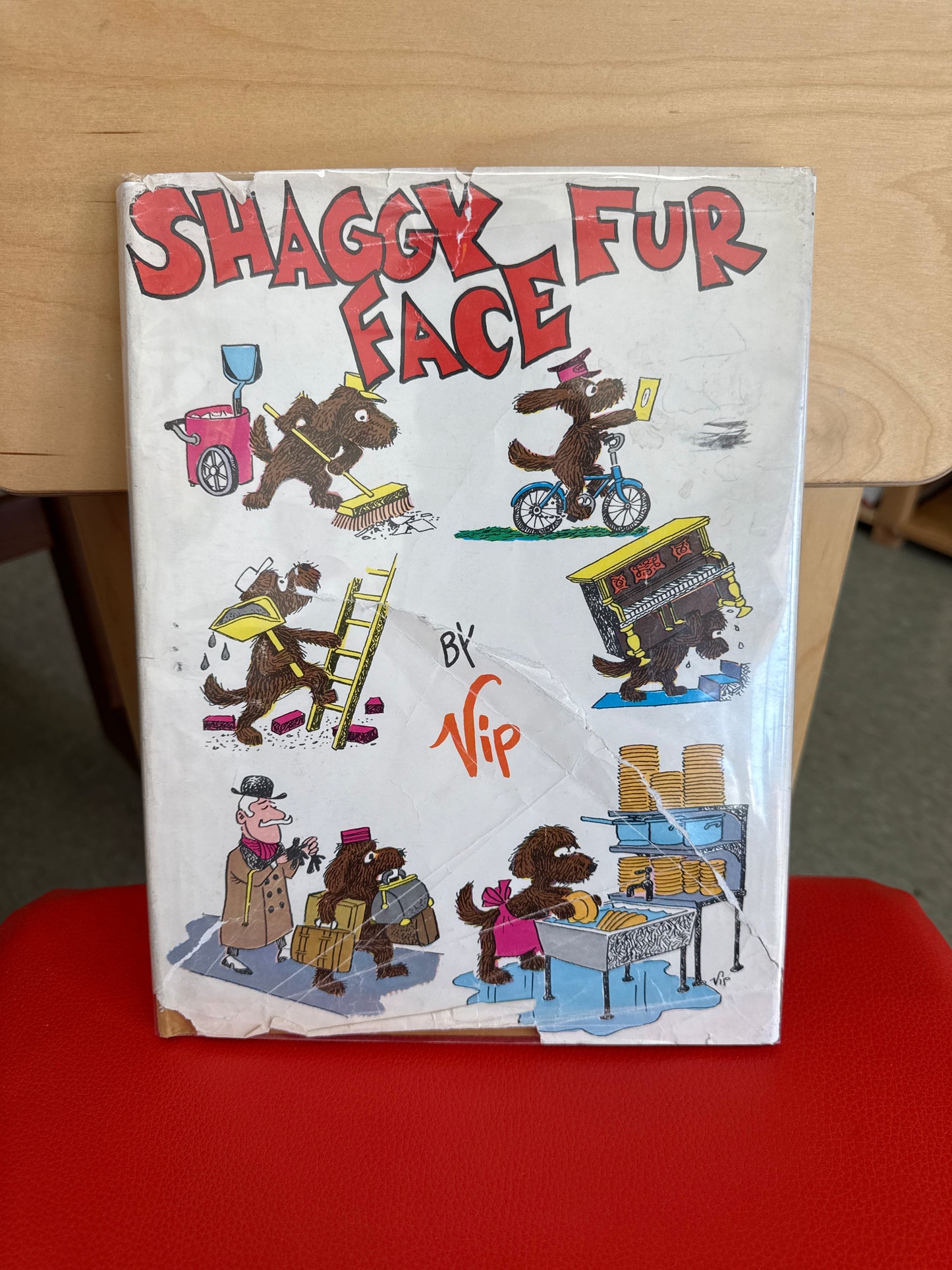 Shaggy Fur Face