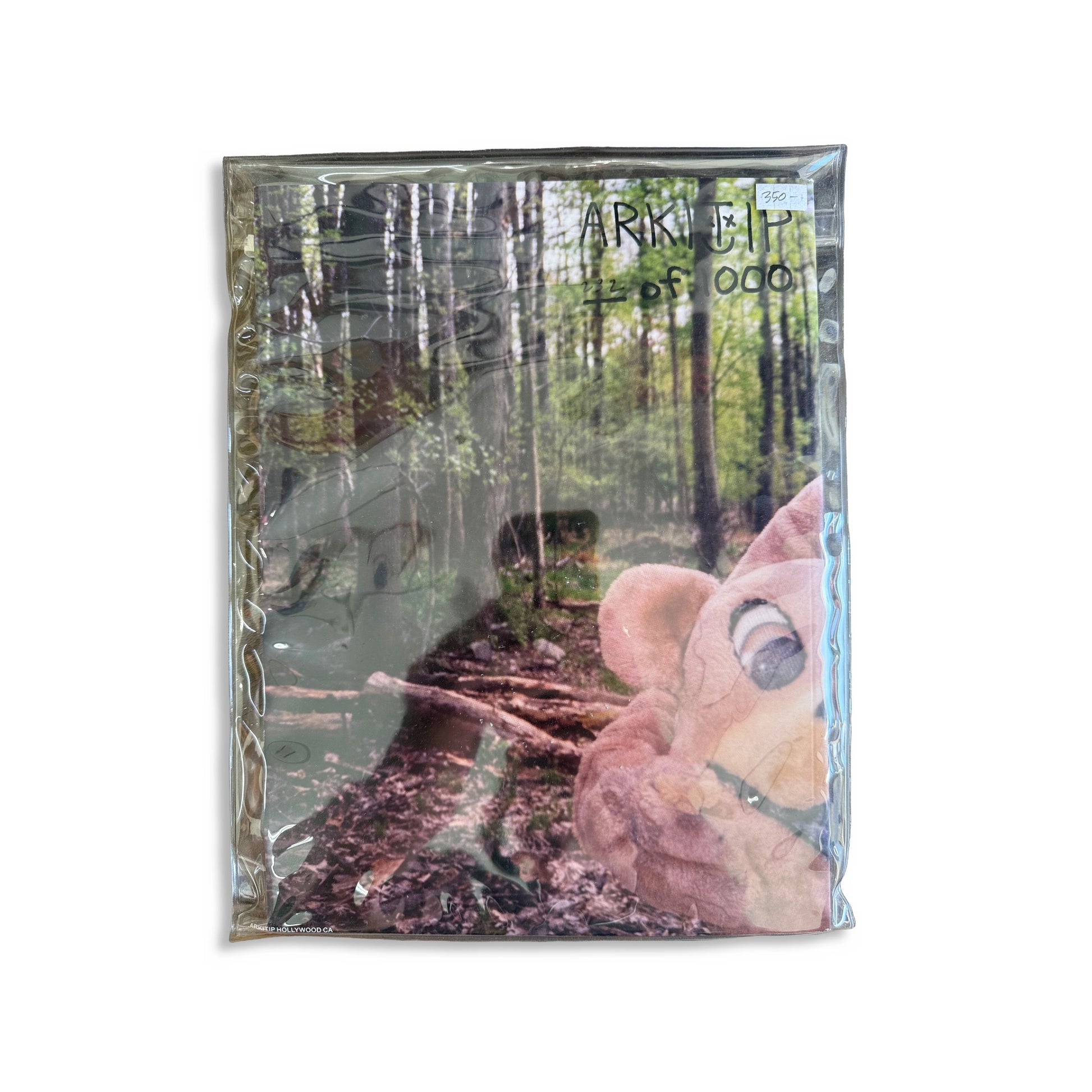 Arktip 060, collectible zine, front cover — Homeguts