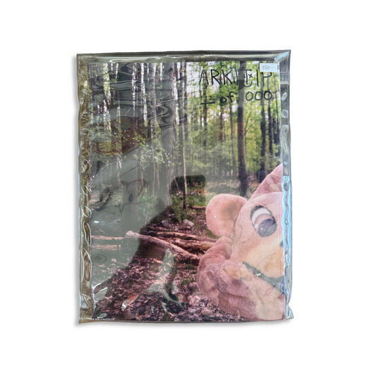 Arktip 060, collectible zine, front cover — Homeguts