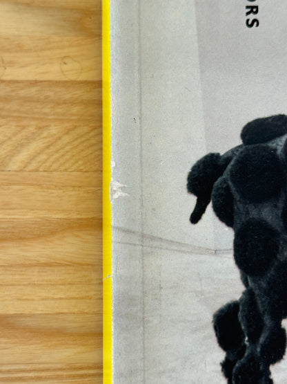 Nest Magazine Fall 1999